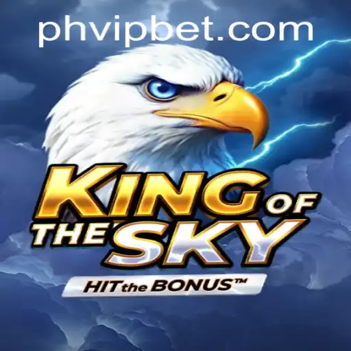 Mastering the Skies with KingOfTheSky: A Comprehensive Guide